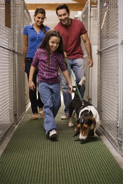 Jupiterimages/Brand X Pictures/Getty Images Working with an animal-rescue group can give you some tax write-offs.