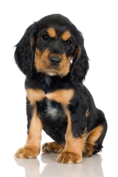 Jupiterimages/Photos.com/Getty Images You can share with me. Would this face lie to you?