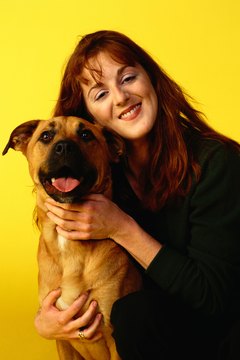 Ryan McVay/Stockbyte/Getty Images Besides hunting, mountain cur dogs also like hugging.