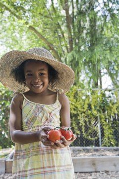 Give your preschooler firsthand experience with planting and harvesting vegetables.