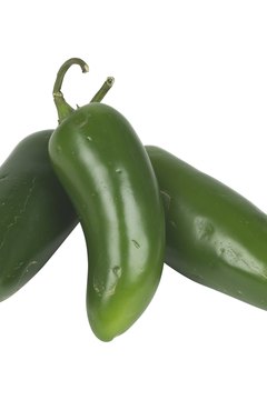 PhotoObjects.net/PhotoObjects.net/Getty Images Jalapeno peppers are rich sources of vitamin C.