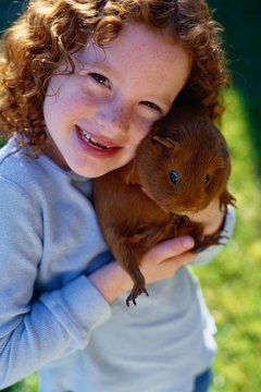 Teach your kiddo proper handling for safe and affectionate interactions.