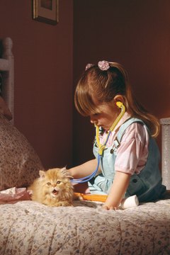 pocketsense article image