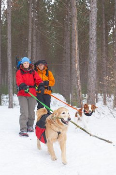 Jupiterimages/Photos.com/Getty Images "I can carry more than sticks with my backpack!"