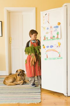 Jupiterimages/Pixland/Getty Images Pets here, pets there -- pets are loved in homes all around the world.