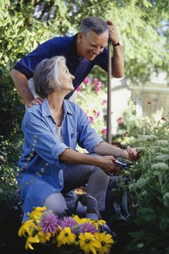 Ryan McVay/Photodisc/Getty Images Variable annuities provide guaranteed income, as well as adjustments.