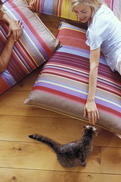 Pixland/Pixland/Getty Images "Please don't stop scratching my head."