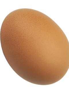 The shell of a chicken egg is hard but porous.