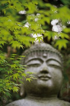 A Buddha Statue at Peace in Nature
