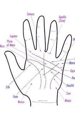 Read Palms by Hand Types