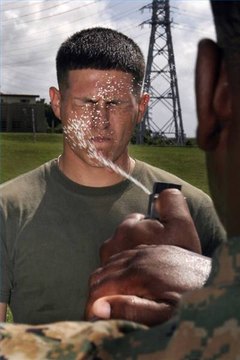 Surviving Pepper Spray Police Officer Training
