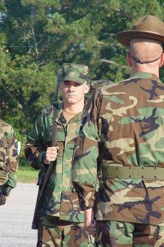 What Is Basic Training Like?
