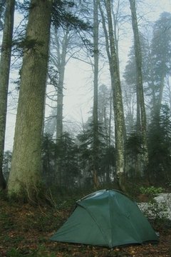 Adirondack Leadership Expeditions' wilderness programs help struggling teens overcome problems.