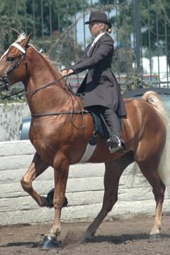 The school also offers a one-day and a six-day trim class for horse owners.
