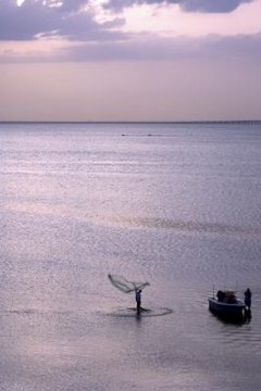 USF St. Petersburg is famous for its marine biology program.
