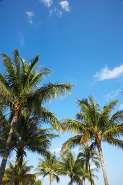 New College of Florida is in beautiful Sarasota.