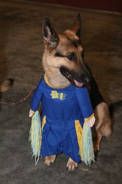 Spirit week promotes school spirit