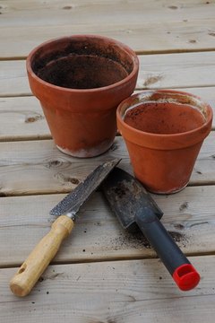 Children enjoy watcing seeds transform into plants.