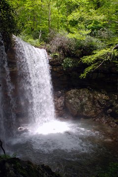 Penn State campuses are located in a variety of locations.