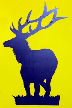 Benevolent and Proctive Order of Elks