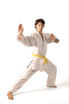 Juijitsu is among the first systems taught to SEALs.