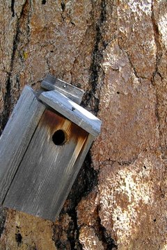 A simple birdhouse.