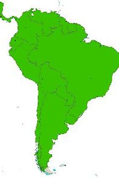 Vosotros, the plural form of