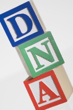 Understanding the building blocks is key to understanding medical terminology.