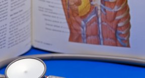 What Is on the Left Side of Your Body in Human Anatomy? | Sciencing
