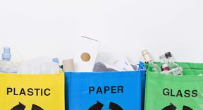 Which Organelles Are Considered the Cell's Recycling Center? | Sciencing