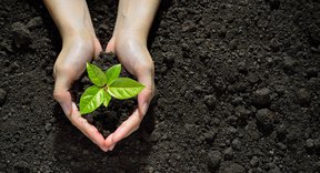 Plant Cell Respiration - Respiration In Plants - Respiration in Roots, Stem and in ... / This often happens during vigorous exercise, such as 100 m sprints.