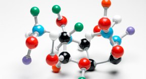 How to Make a Model Nitrogen Atom | Sciencing diagram of mushrooms 