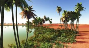 Top 10 Plants in the Sahara Desert | Sciencing