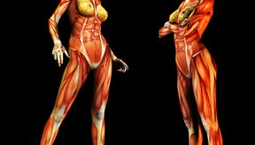 Desgarro muscular abdominal embarazo