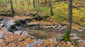 11 State Parks to Visit in Indiana Before Winter Sets In