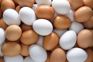 Las ventajas y desventajas de los huevos