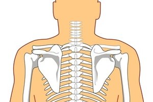 How to Remember Human Anatomy | Synonym