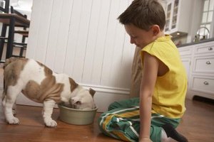 comparison between classical and operant conditioning