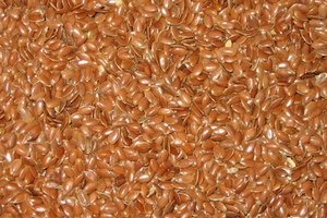 Semillas de lino doradas versus semillas de lino marrones