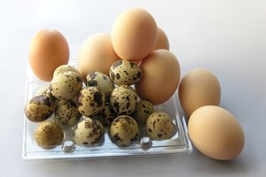¿Puedes comer huevos si eres vegetariano?