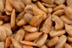 ¿Las semillas de girasol son carbohidratos?