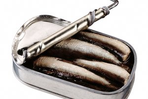 Atún versus sardinas