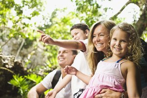 Family looking in the forest