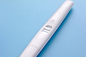¿Cuánto tiempo después de que el óvulo es liberado puede ser fertilizado?
