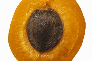 Alimentos ricos em carbonato de litio
