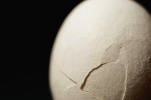 ¿Cuáles son los riesgos de comer huevos con cascarón roto?