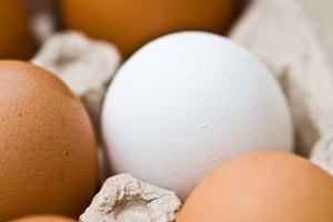 ¿Cuál es el principal componente de proteína que difiere de los carbohidratos y grasas?