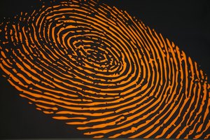 Forensic science research papers
