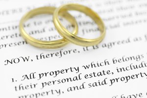 Prenuptial ( premarital ) agreement