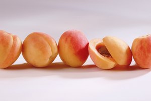 Vitaminas para la reparación de los tejidos